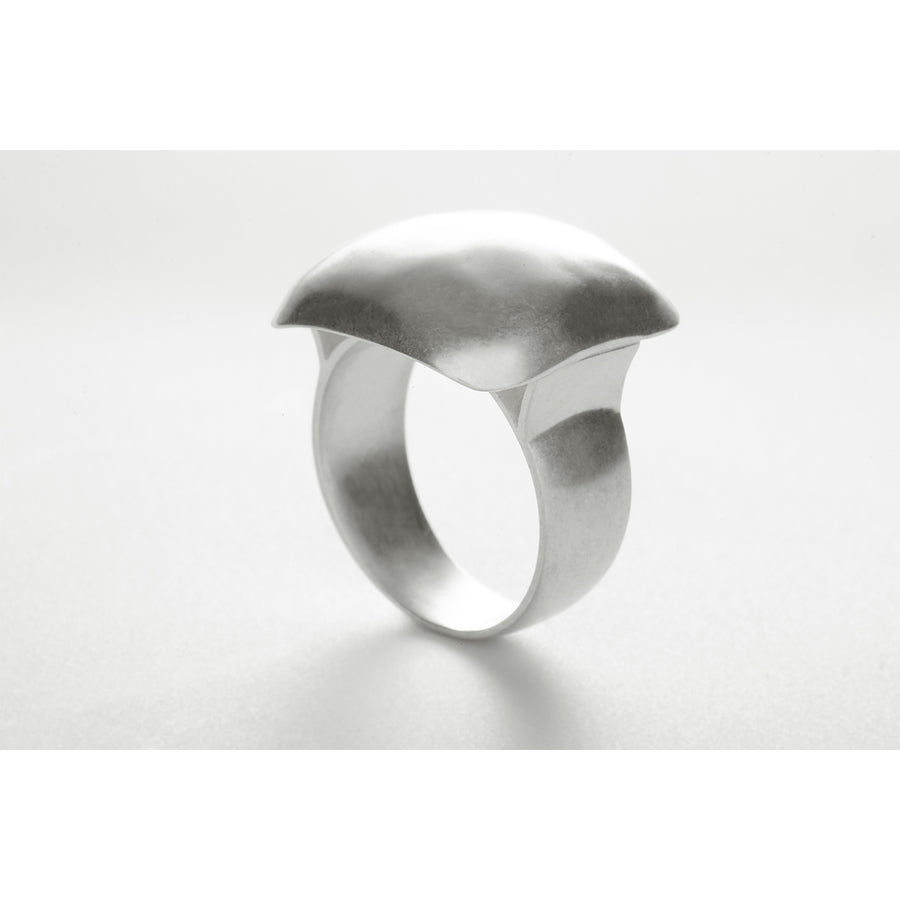39R1.1 – Hilary Druxman Design